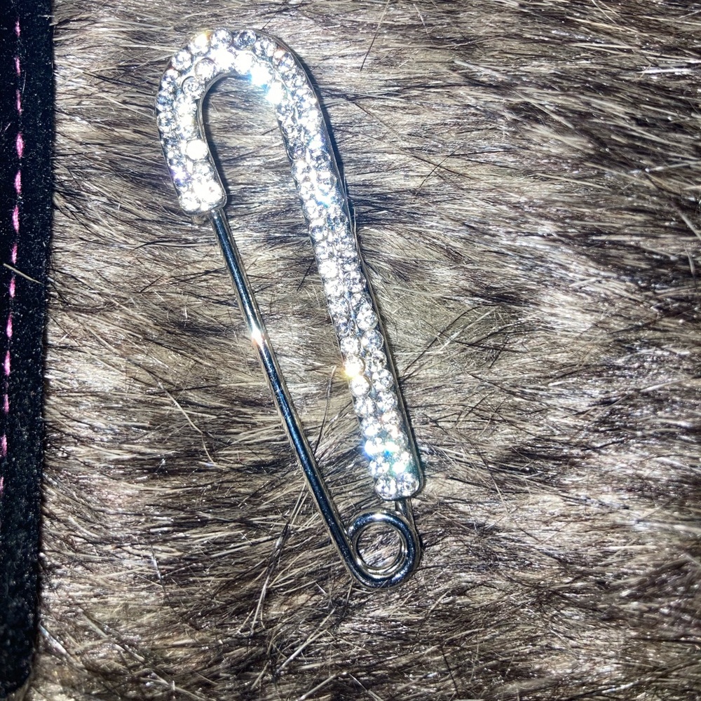 Sparkling candy cane pin and pouch
